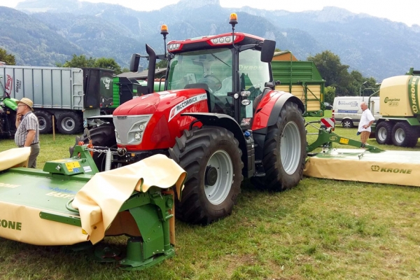 markt-2016-18F68F91BC-032A-CFE6-0DB5-0C77A580ECC1.jpg