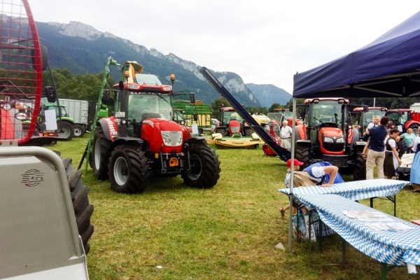 markt-2016-24DCAB50AE-0FCE-609C-8C12-E52C9DE70B13.jpg