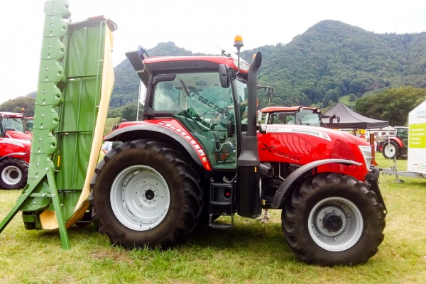 markt-2016-258B496DD7-07C5-B6CA-CF18-56E0CF5D7EDA.jpg