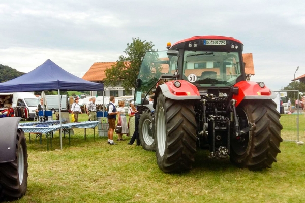 markt-2016-33C0F7E7DC-B6DD-C3A5-042F-6BA4DED8D5BC.jpg