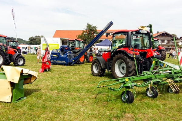 markt-2016-40BCA4FE43-F55D-1379-8F3B-DF13B5BA0205.jpg